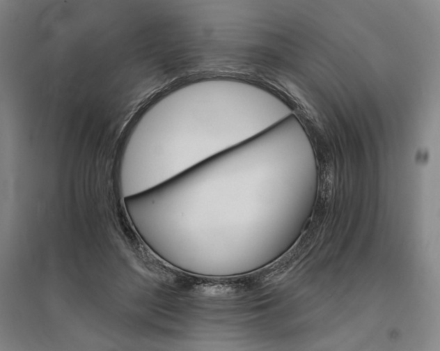 X0000095540500200712141027
