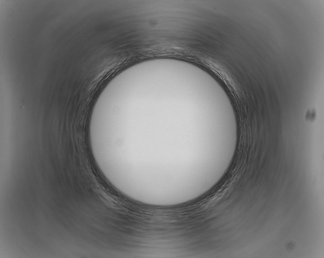 X0000095540501200712141027