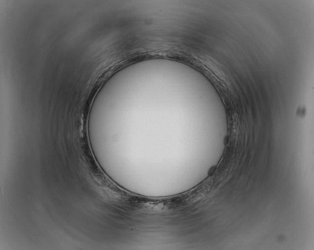X0000095540502200712141027