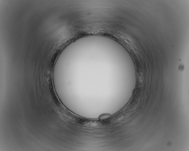 X0000095540503200712141027