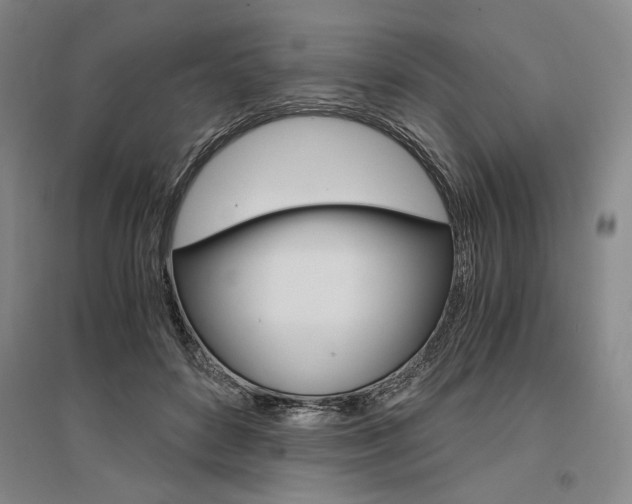 X0000095540504200712141027