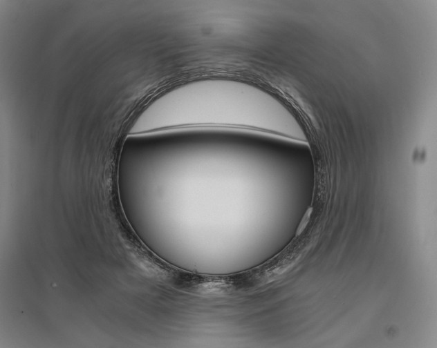 X0000095540505200712141027