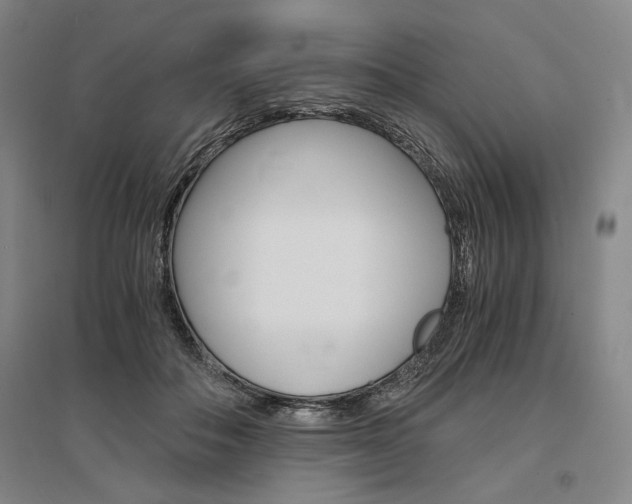 X0000095540506200712141027