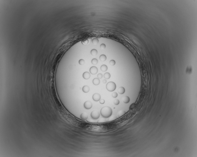 X0000095540507200712141027