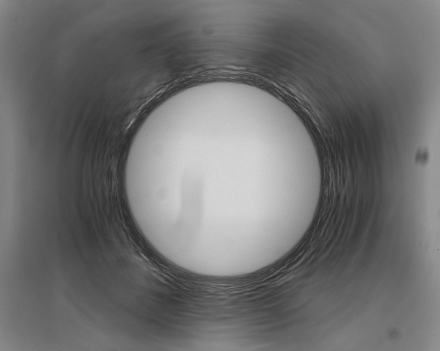 X0000095540508200712141027