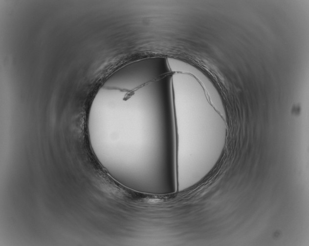 X0000095540509200712141027