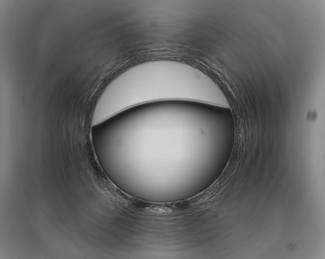 X0000095540512200712141027