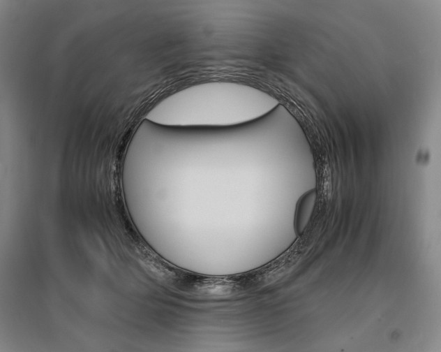 X0000095540514200712141027