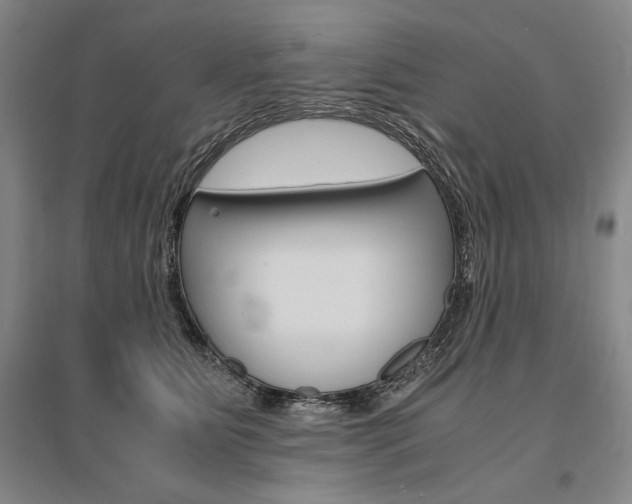 X0000095540515200712141027