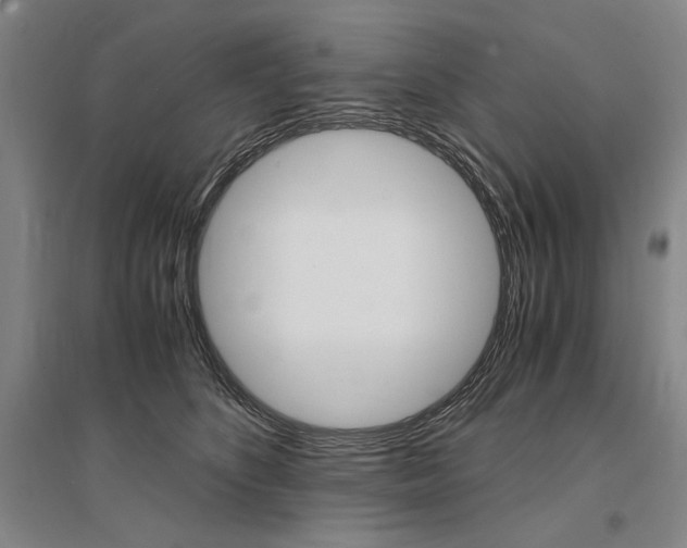 X0000095540516200712141026