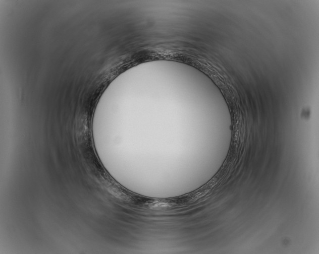 X0000095540518200712141026