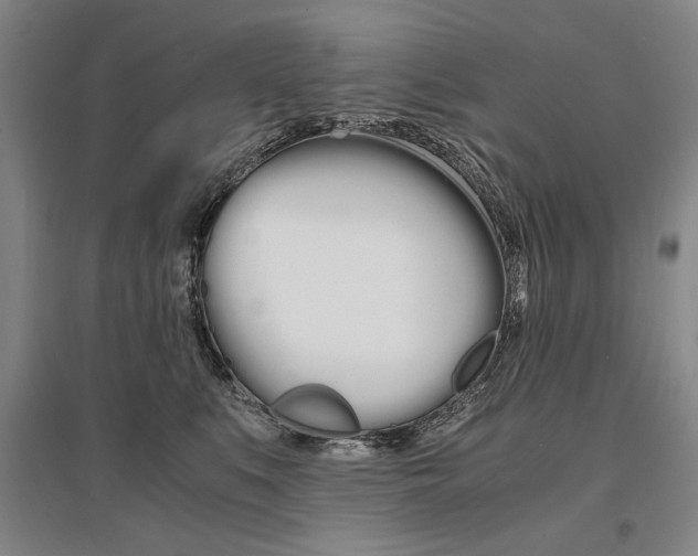 X0000095540519200712141026