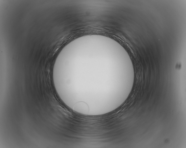 X0000095540520200712141026