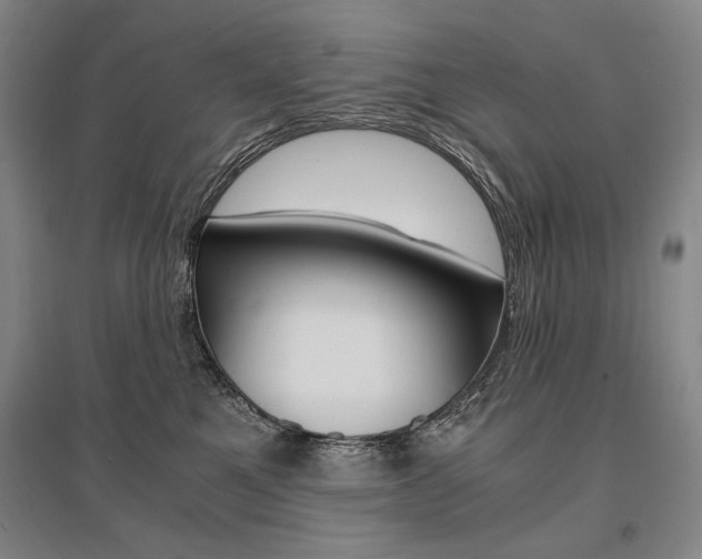 X0000095540521200712141026