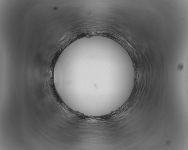 X0000095540523200712141026