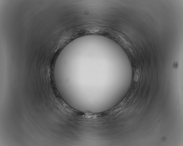 X0000095540524200712141026