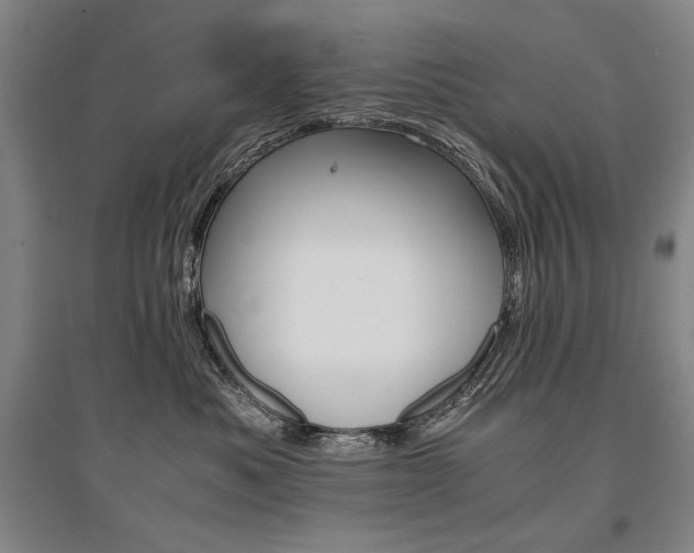 X0000095540525200712141026