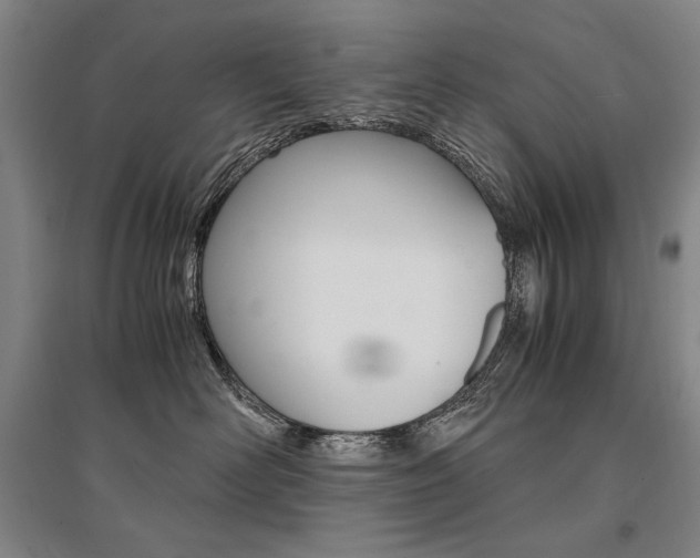 X0000095540526200712141026
