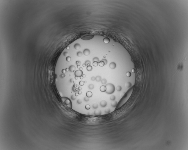 X0000095540527200712141026