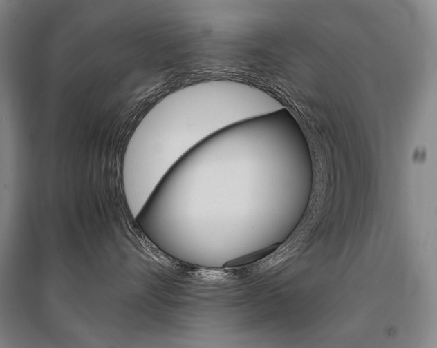 X0000095540528200712141026