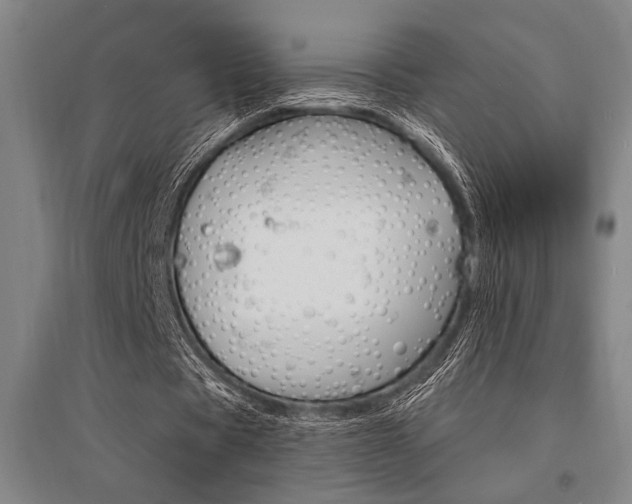 X0000095540529200712141026