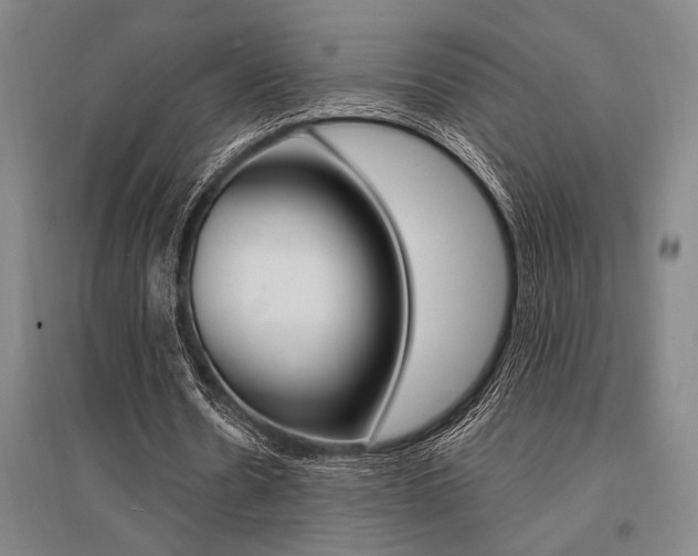 X0000095540530200712141026