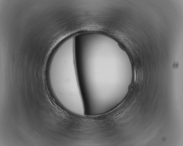 X0000095540531200712141026