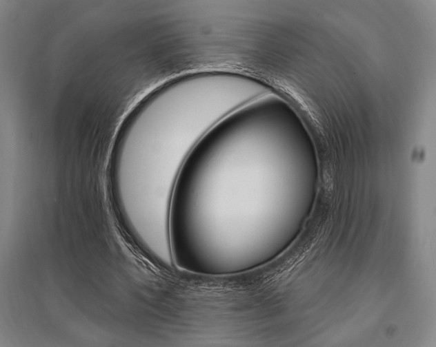 X0000095540532200712141026
