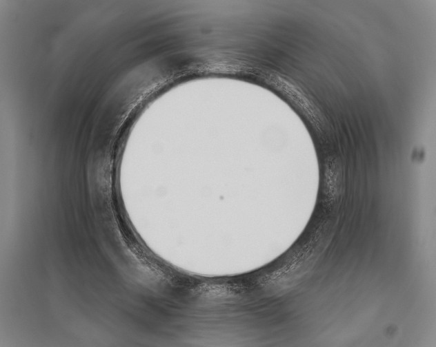 X0000095540534200712141026