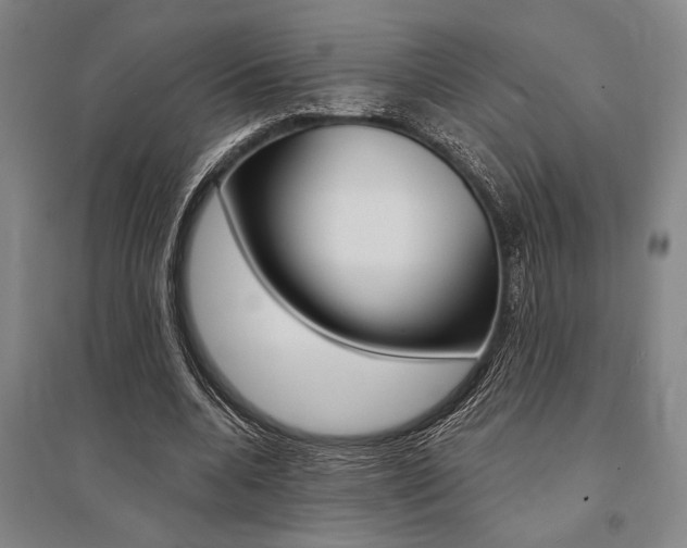 X0000095540536200712141026