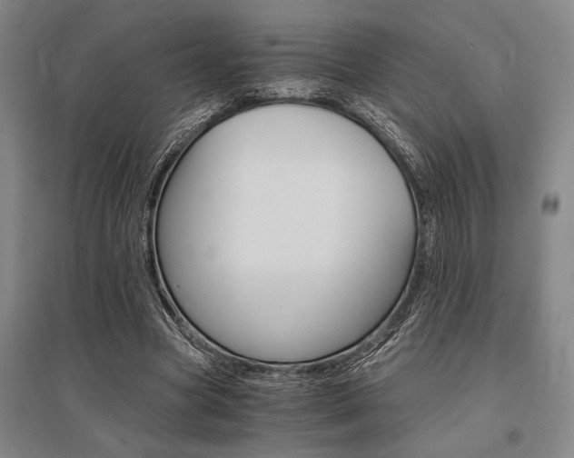 X0000095540537200712141026
