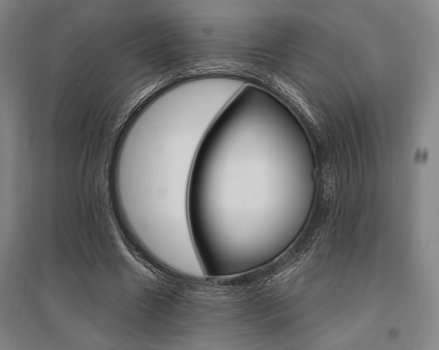 X0000095540538200712141026