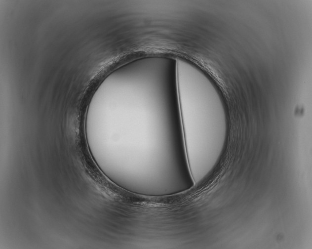 X0000095540539200712141026