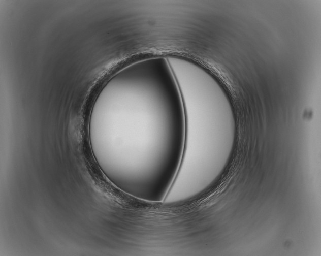 X0000095540540200712141026