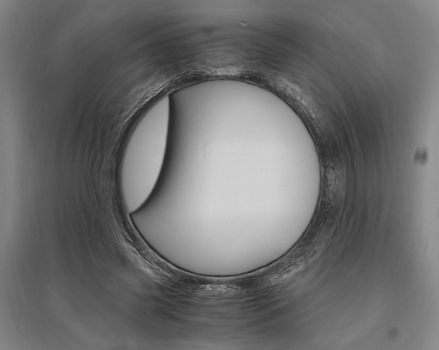X0000095540541200712141026