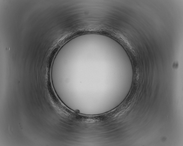 X0000095540542200712141026