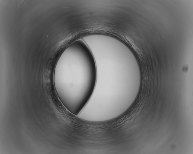 X0000095540543200712141026