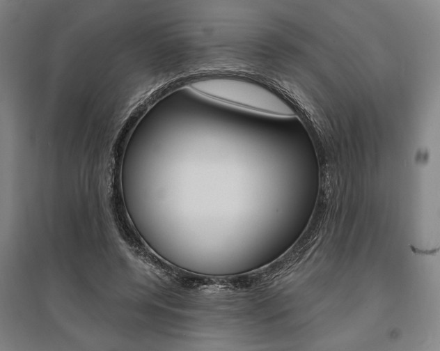 X0000095540544200712141026