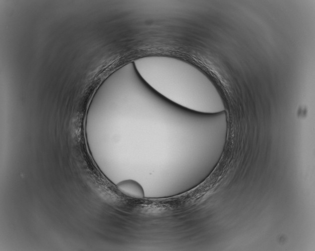 X0000095540545200712141026