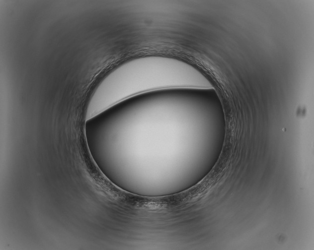 X0000095540546200712141026