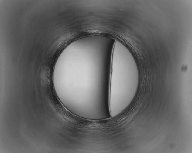 X0000095540547200712141026