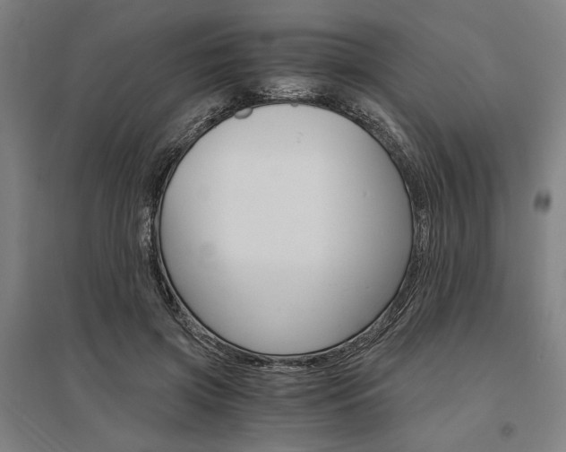 X0000095540549200712141026