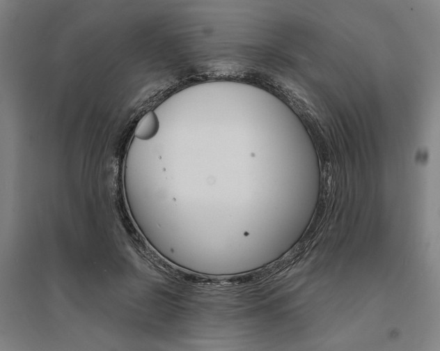 X0000095540550200712141026