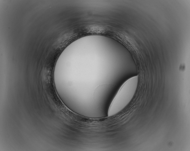 X0000095540551200712141026