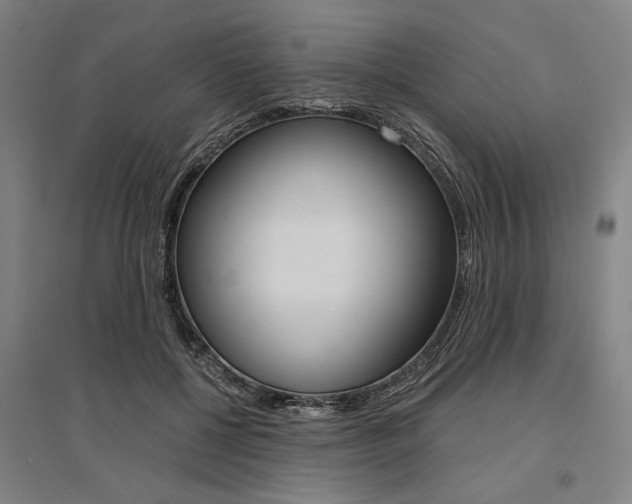 X0000095540552200712141026