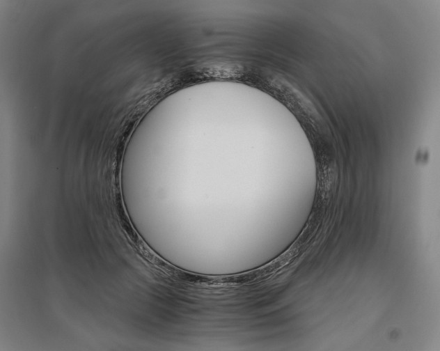 X0000095540553200712141026