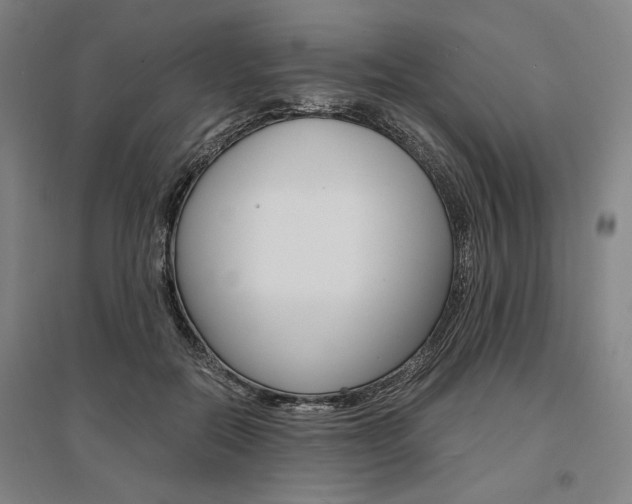 X0000095540554200712141026