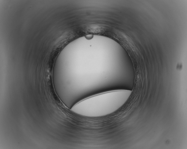 X0000095540555200712141026