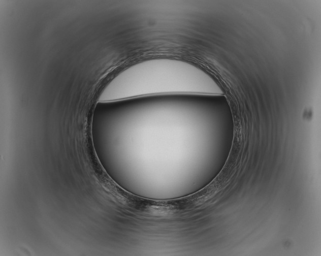 X0000095540556200712141026