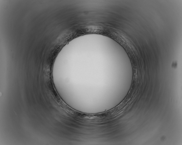 X0000095540557200712141026